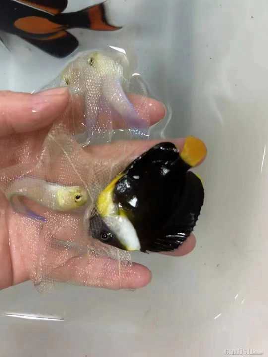 微信图片_20230705153930.jpg