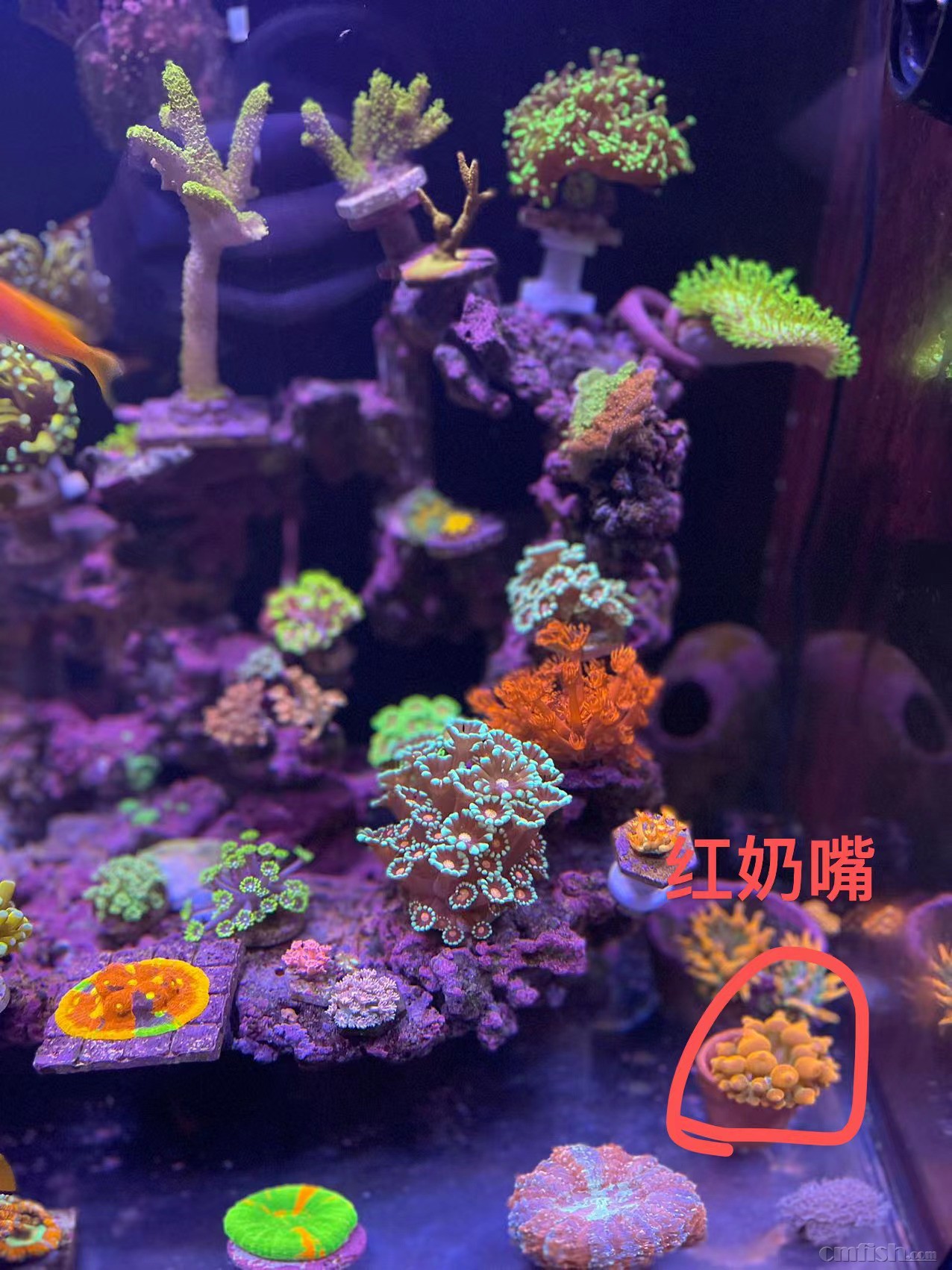 ������-5cm ��һ��С��