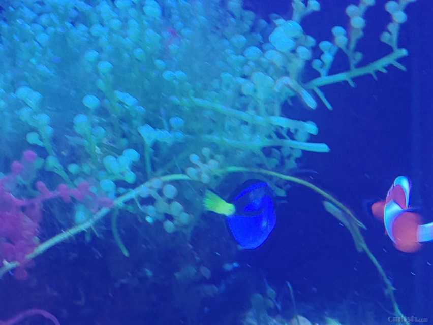 ΢��ͼƬ_20230723172741.jpg