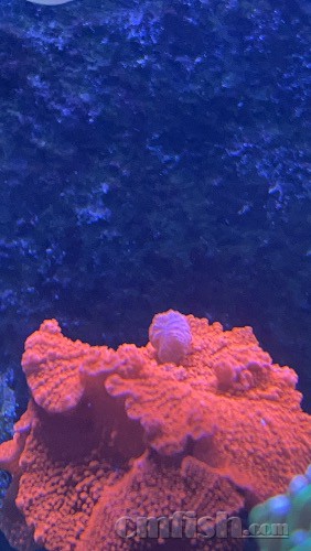 IMG_6891.jpeg