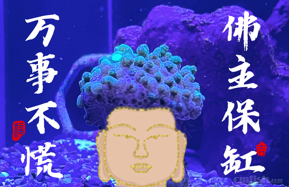 �������� 2.png