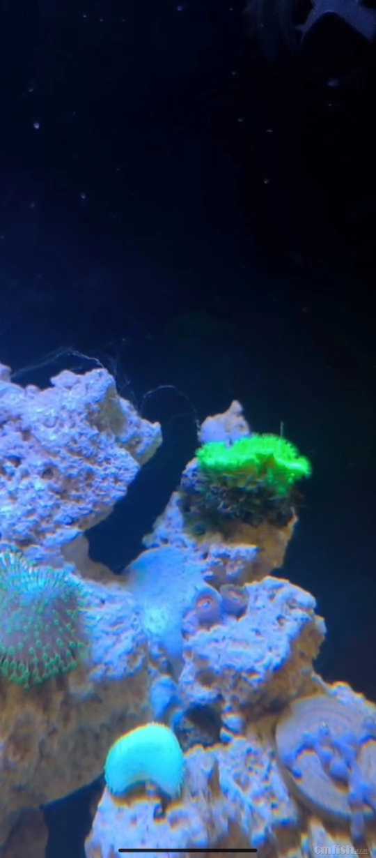 ΢��ͼƬ_20231101102403.jpg