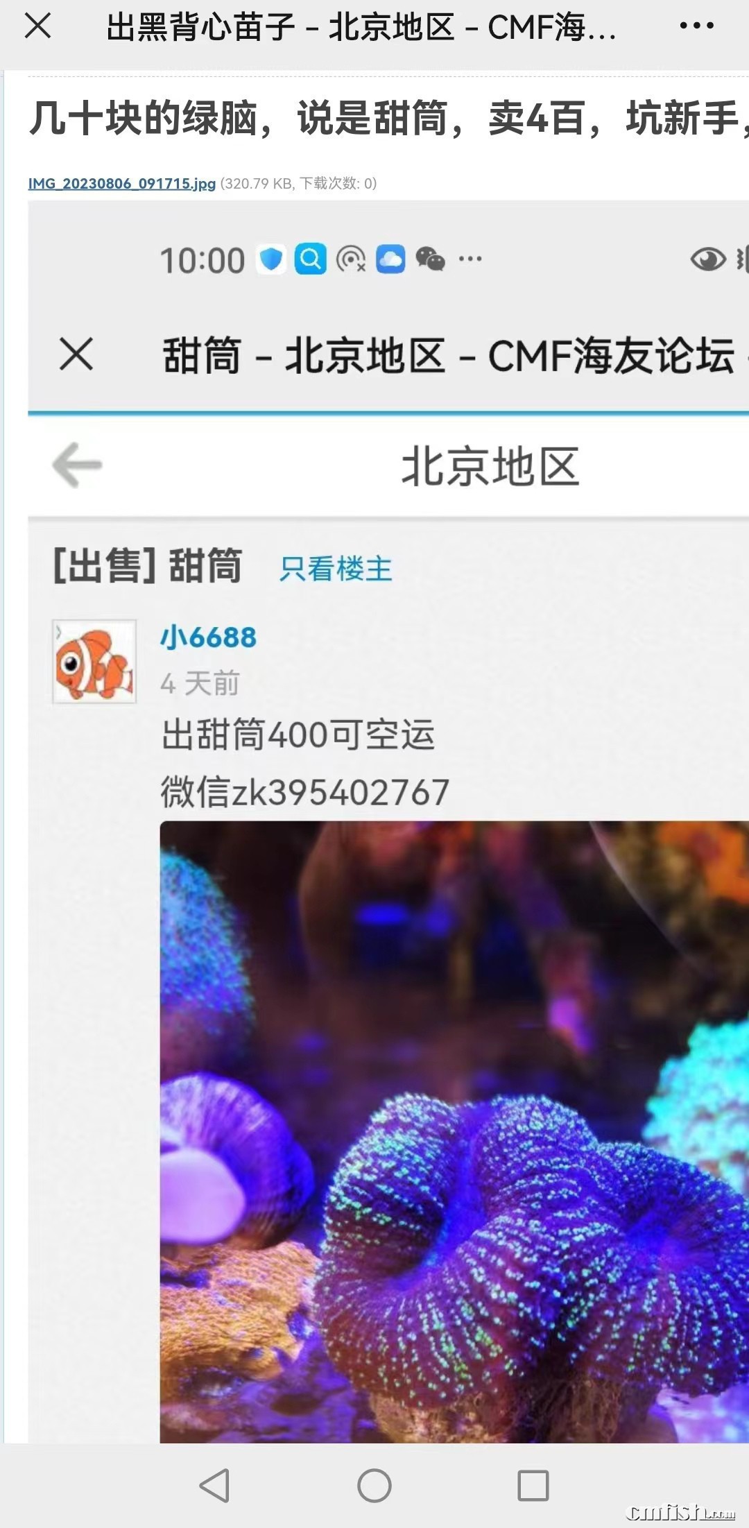 mmexport9101aa9949961eaff91fb1fbb36fc994_1699184287712.jpeg