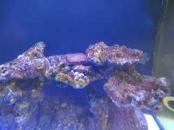 IMG_20231112_171056.jpg