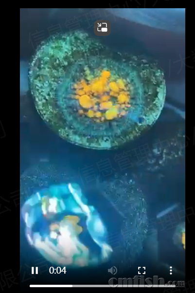 ����.png