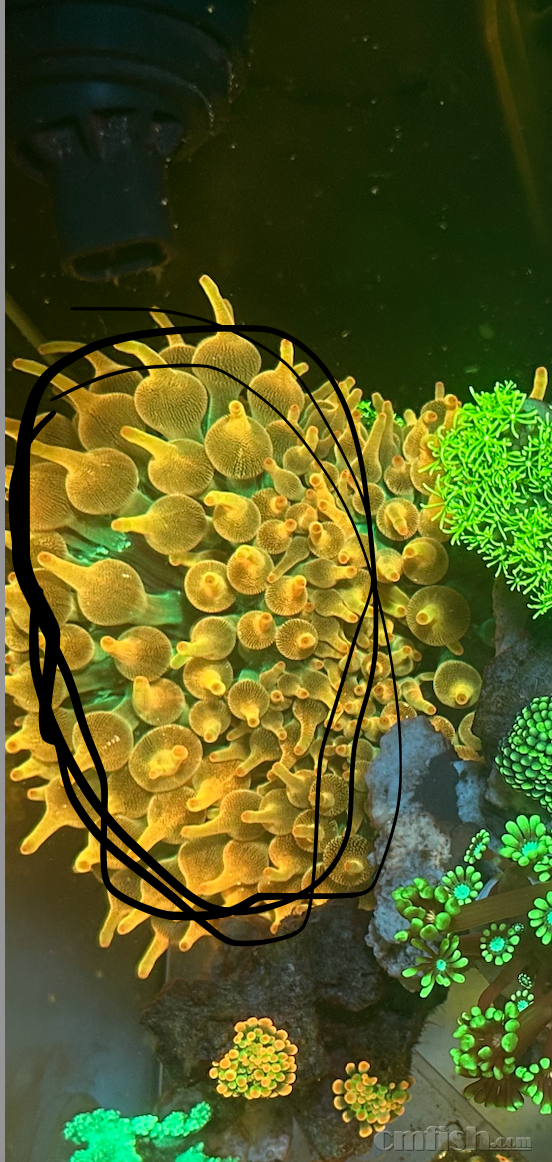 ����2023-12-12 ����4.57.45.png