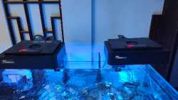 IMG20240111174253.jpg