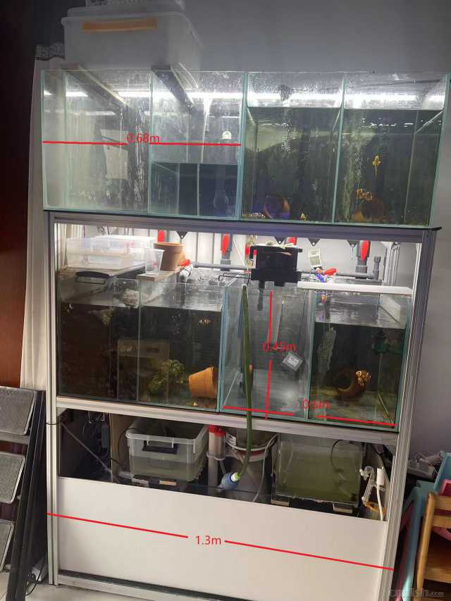 С���㷱ֳ���1000