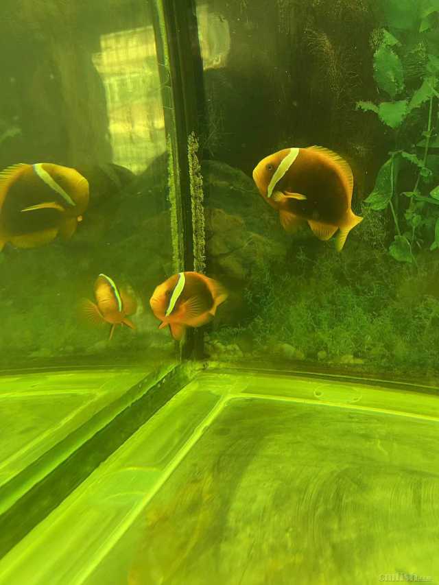 ���ѷ���500