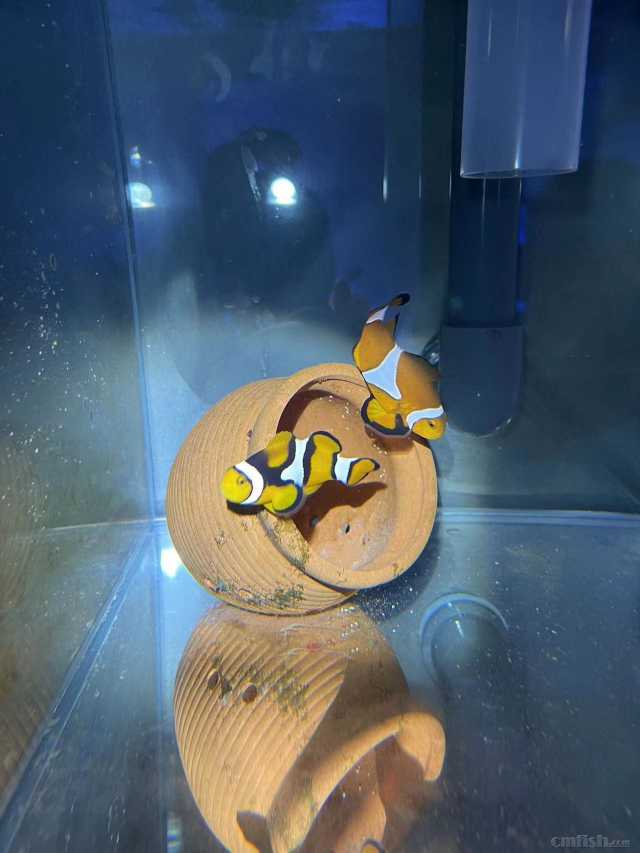 Ұ��С��ӱϼ���