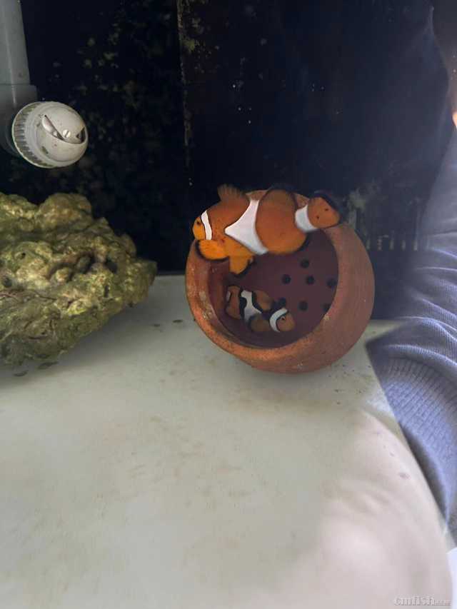 Ұ���ӱϼ���