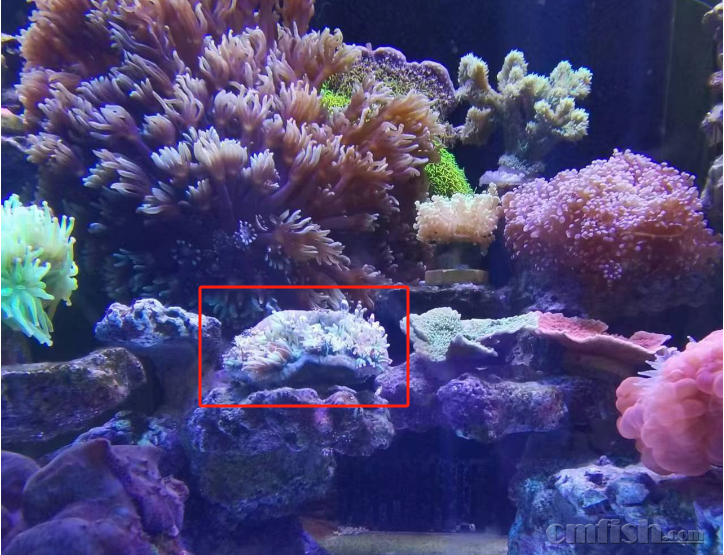 ��˫��ˮ4Сʱ