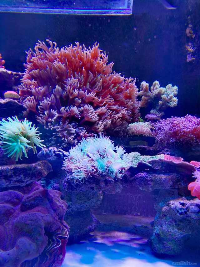 ��˫��ˮһ���