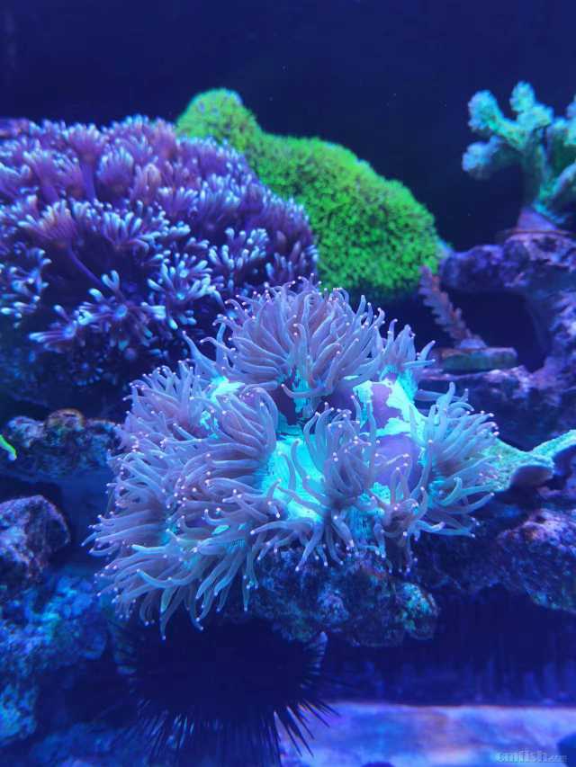 ��ҩˮ֮ǰ����ɫ