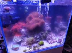 IMG_20240130_215048.jpg