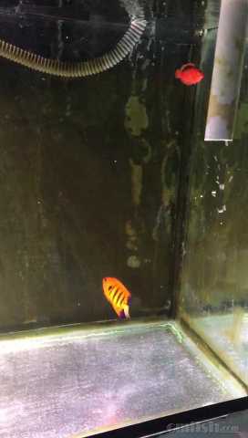 899 - frame at 0m5s.jpg