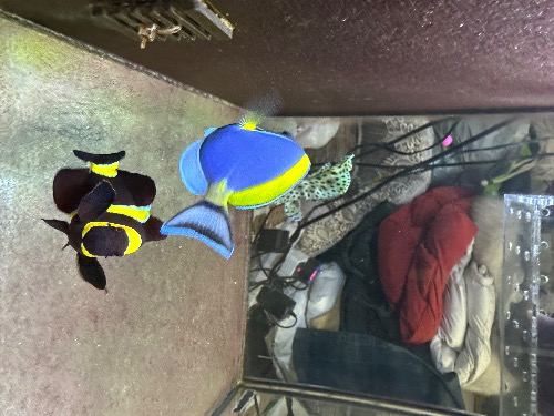 2ACC86C9-E122-49BA-BA48-B4D9CAD20879.jpeg