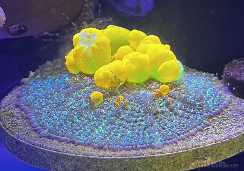 ����2024-03-06 ����11.31.41.png