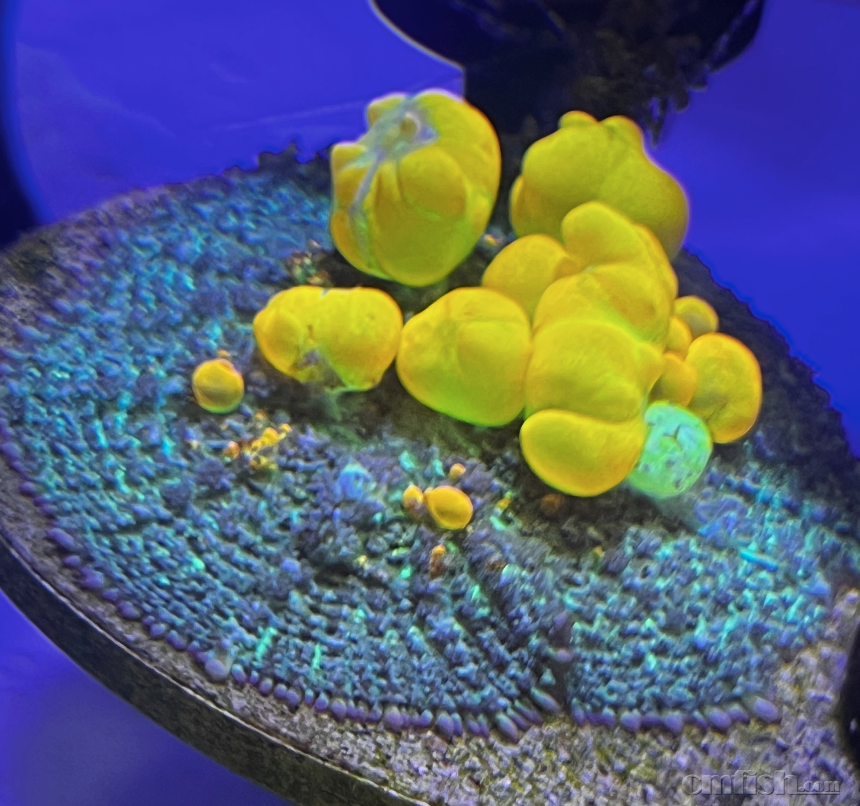 ����2024-03-06 ����11.31.54.png