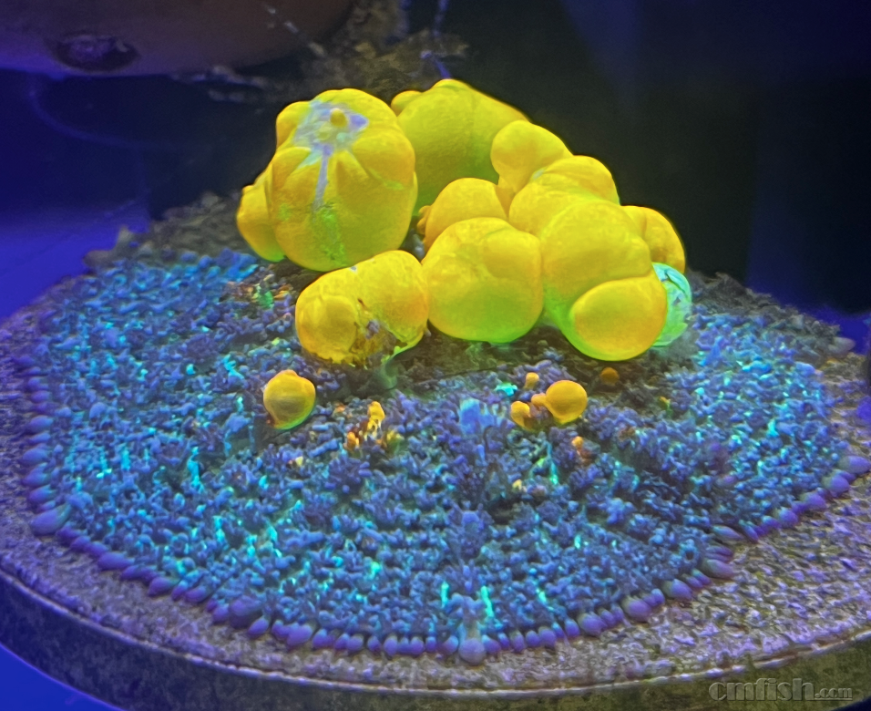 ����2024-03-06 ����11.32.03.png