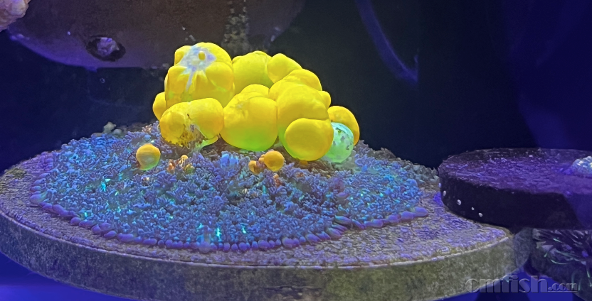 ����2024-03-06 ����11.31.33.png