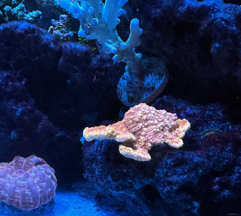 IMG_9610 ����.jpg