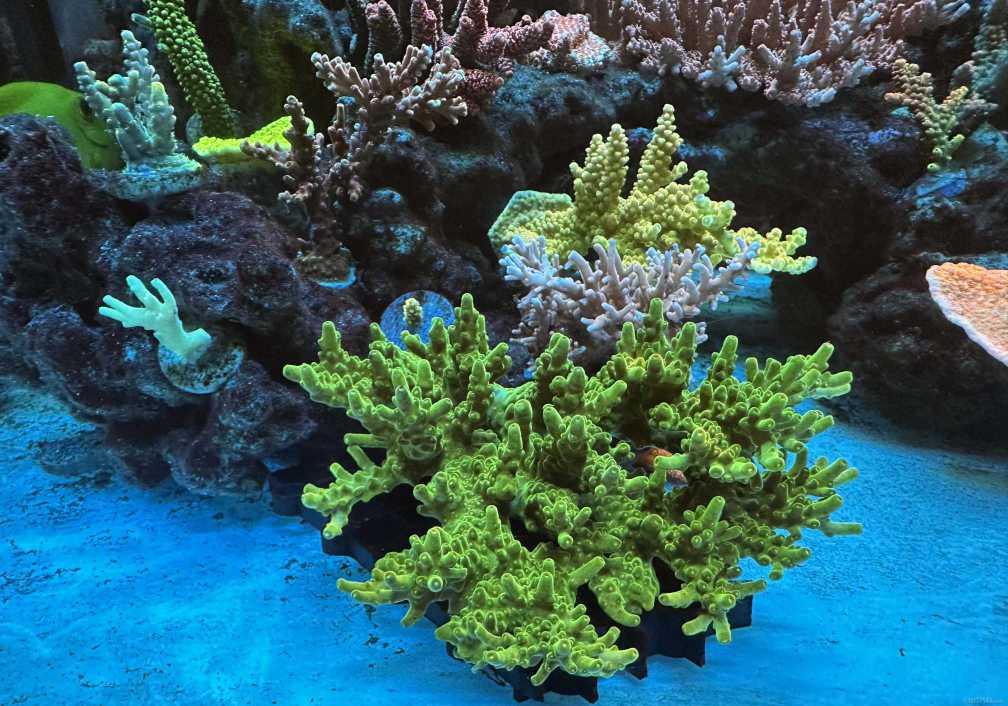 IMG_9611 ����.jpg