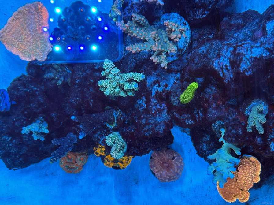 IMG_9608 ����.jpg