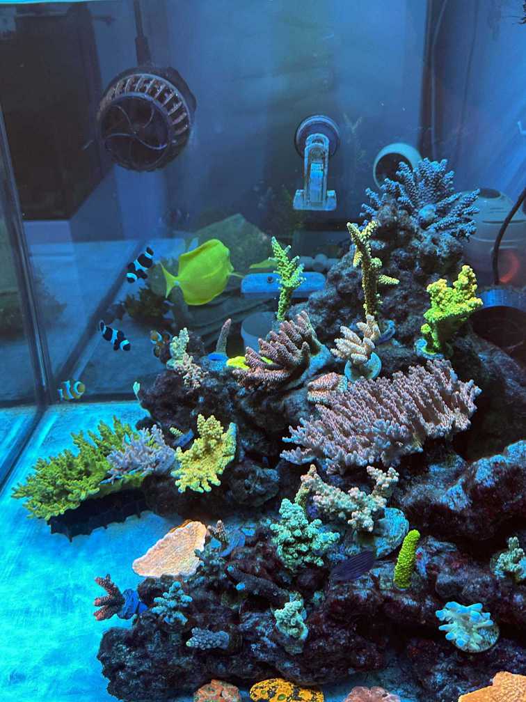 IMG_9598 ����.jpg