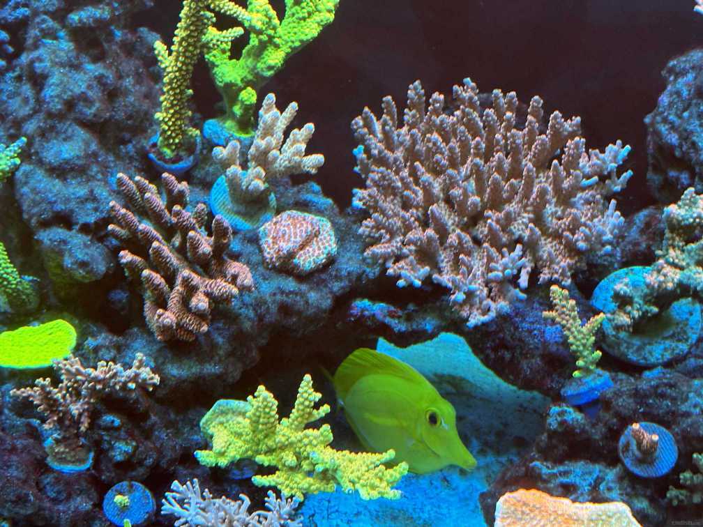 IMG_9594 ����.jpg