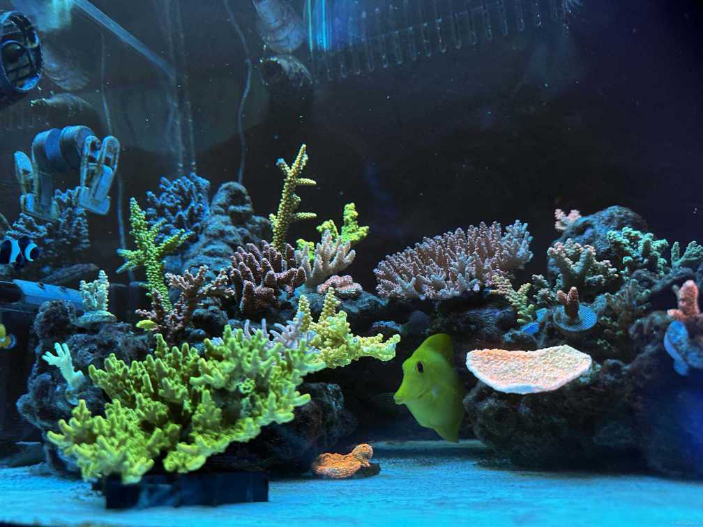 IMG_9590 ����.jpg