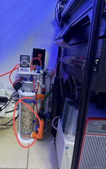 IMG_9133 ����.jpg