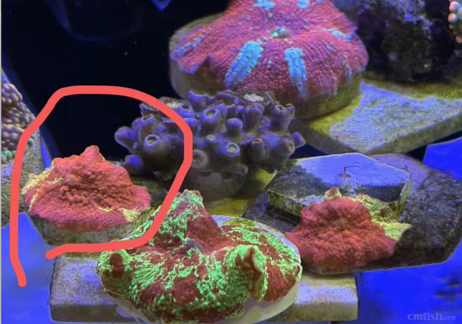 ����2024-03-26 ����1.50.26.png