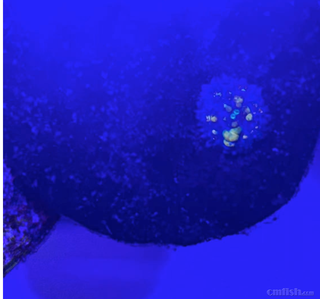 ������д