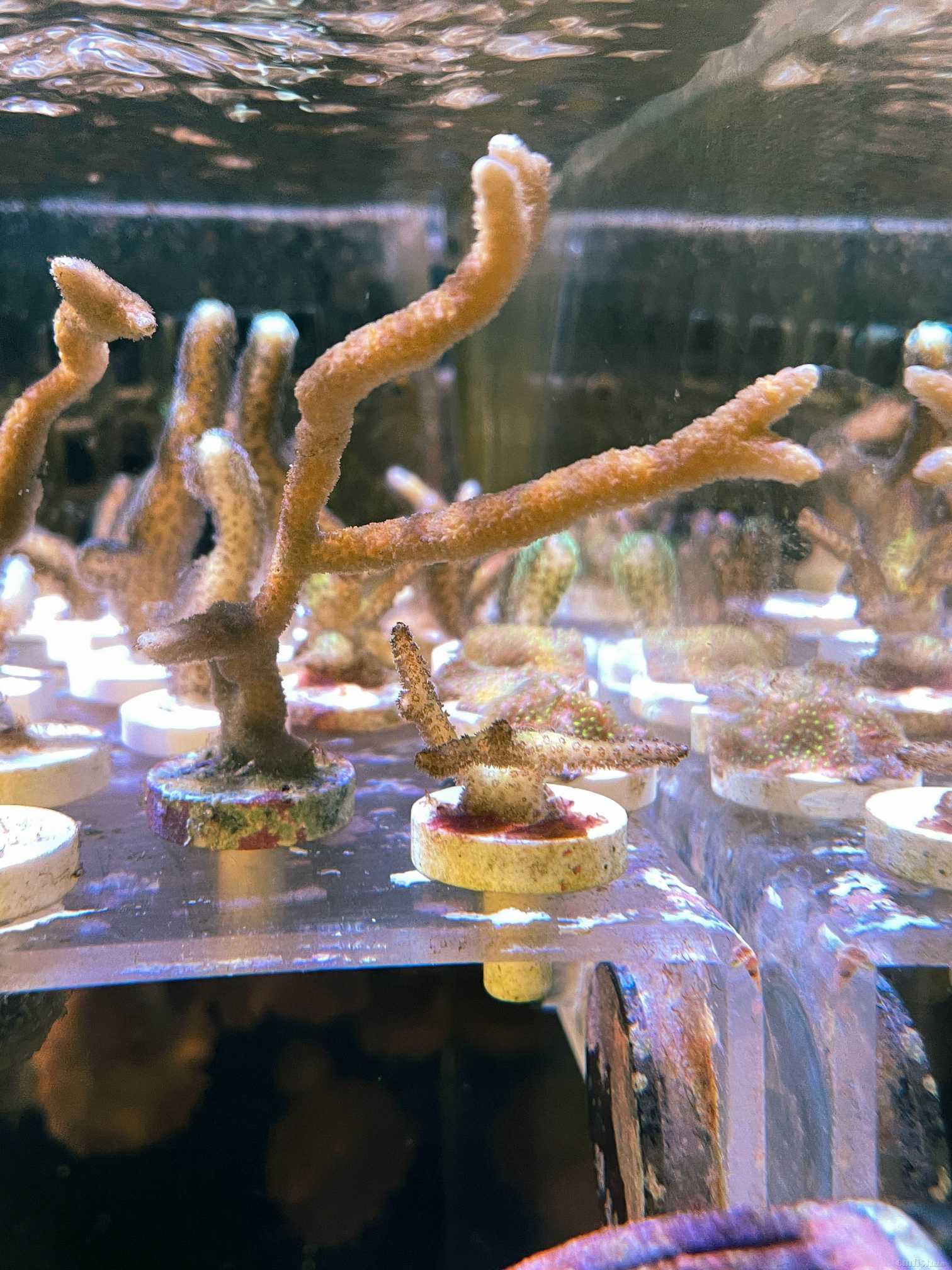 IMG_4637 ����.jpg