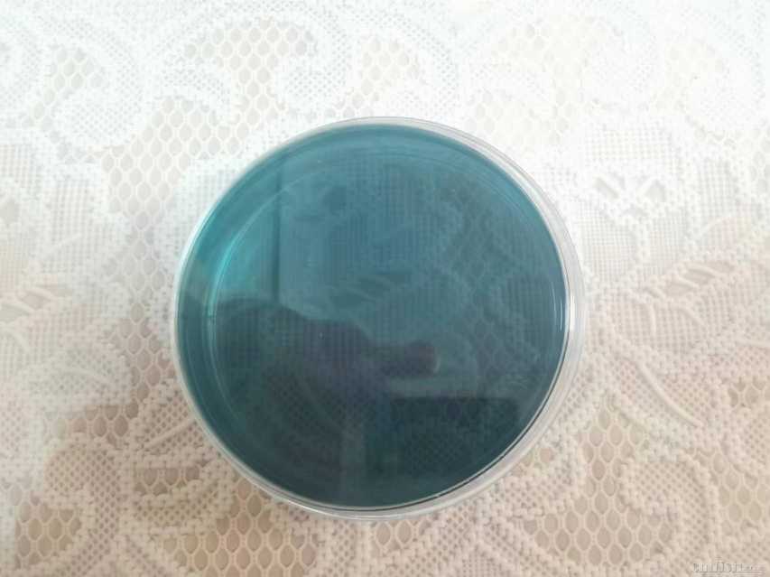 �ڶ�����ҩ��48Сʱ