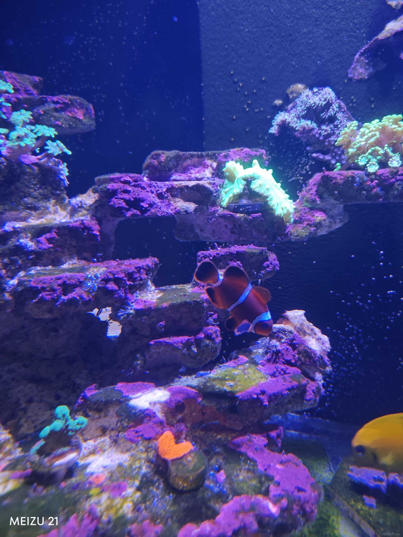 P20240409-183015 (1).jpg