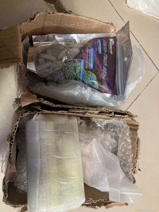 ɺ ������