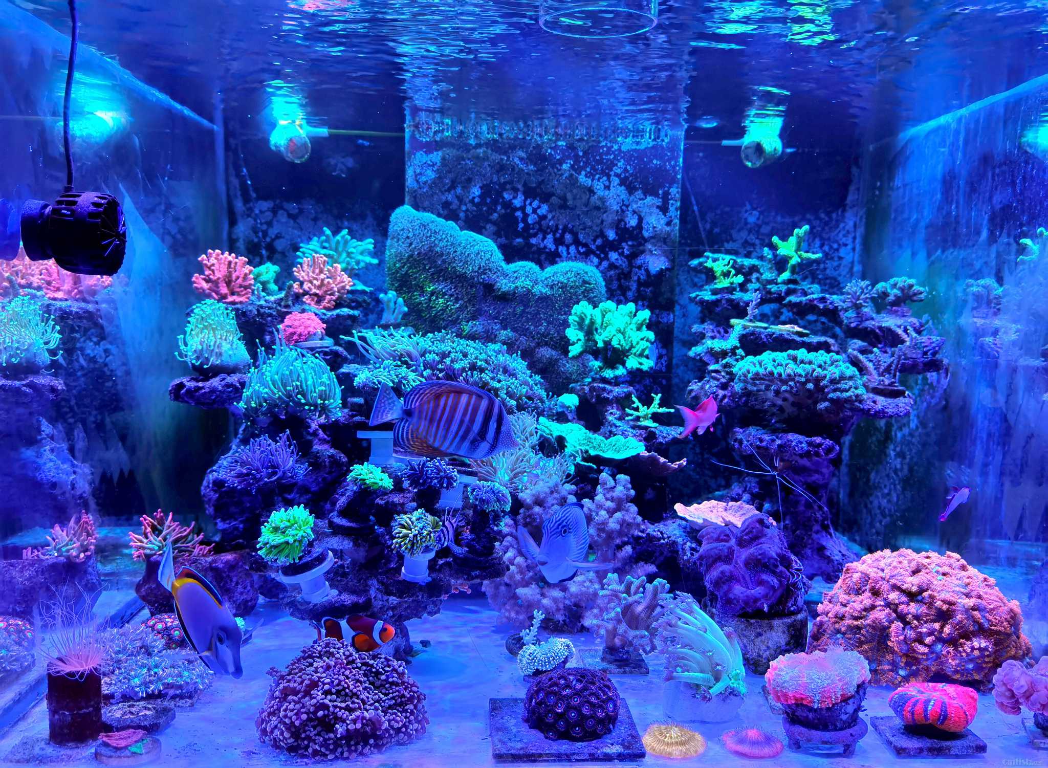 2024��5����