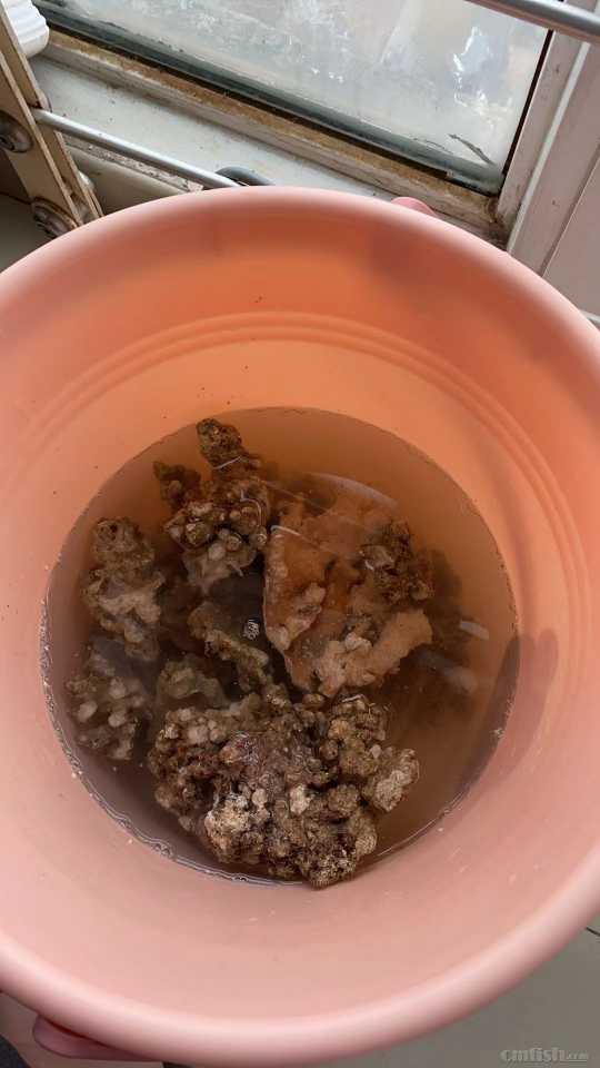 ��ʯ����