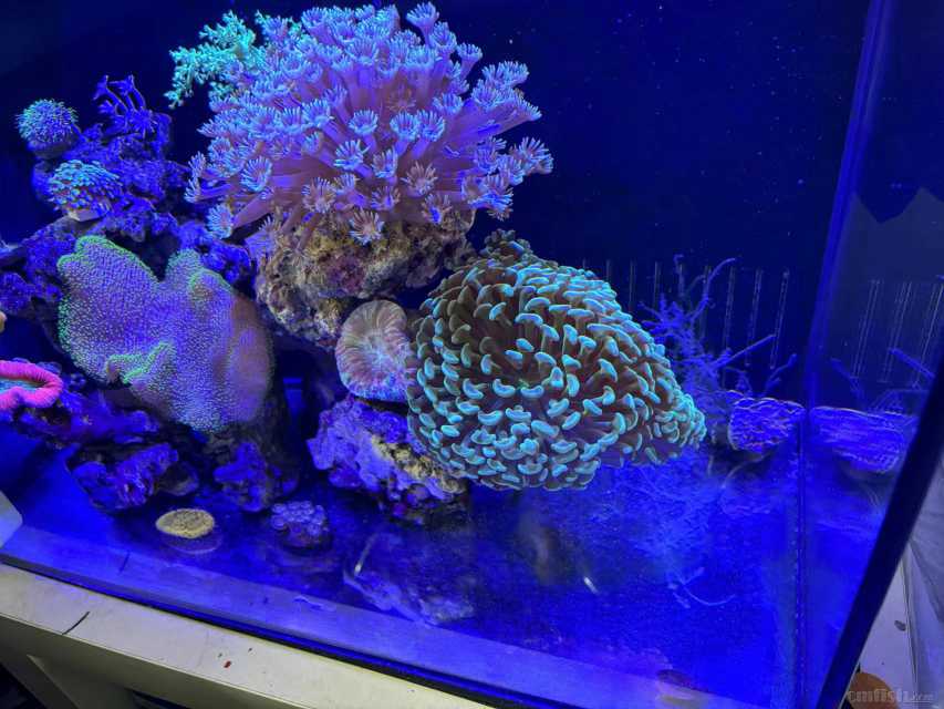 ֮ǰ������̼�Ҫ�Ŀ�û����