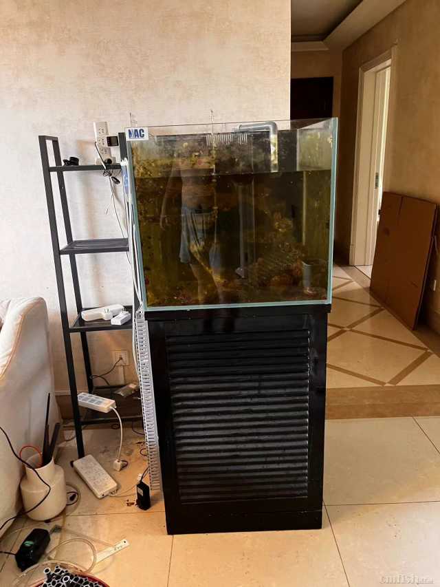 鱼缸.jpg