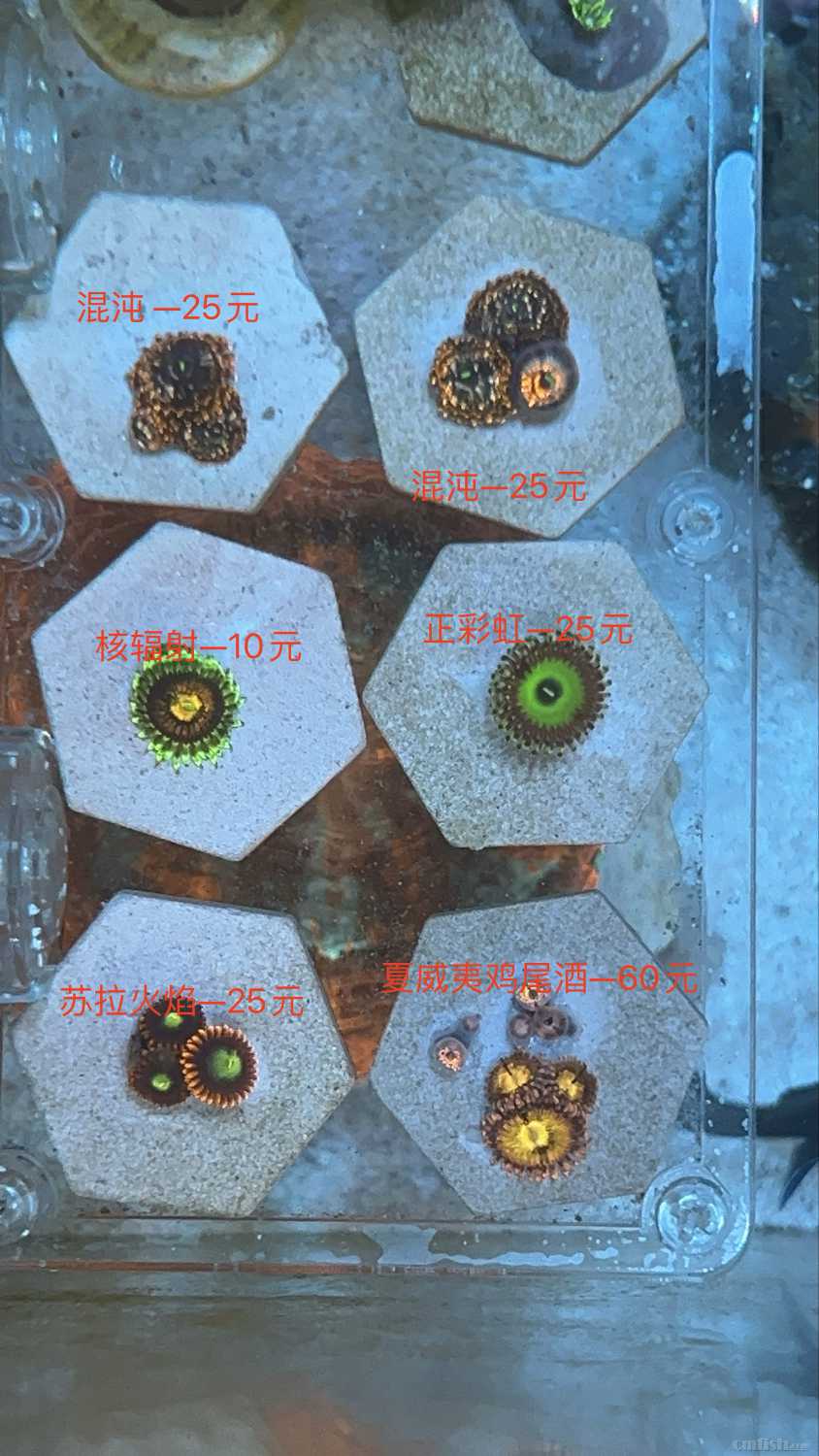 WechatIMG173321 (1).jpg