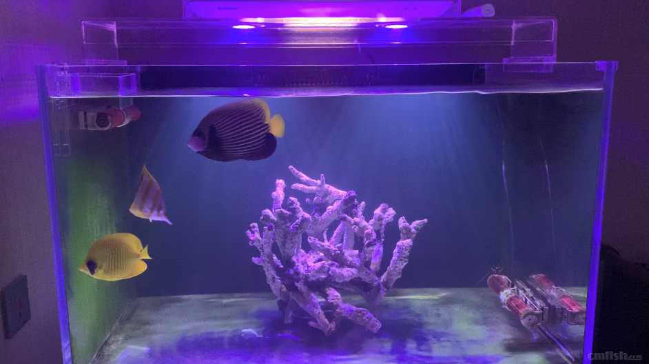 IMG_1002 ����.jpg