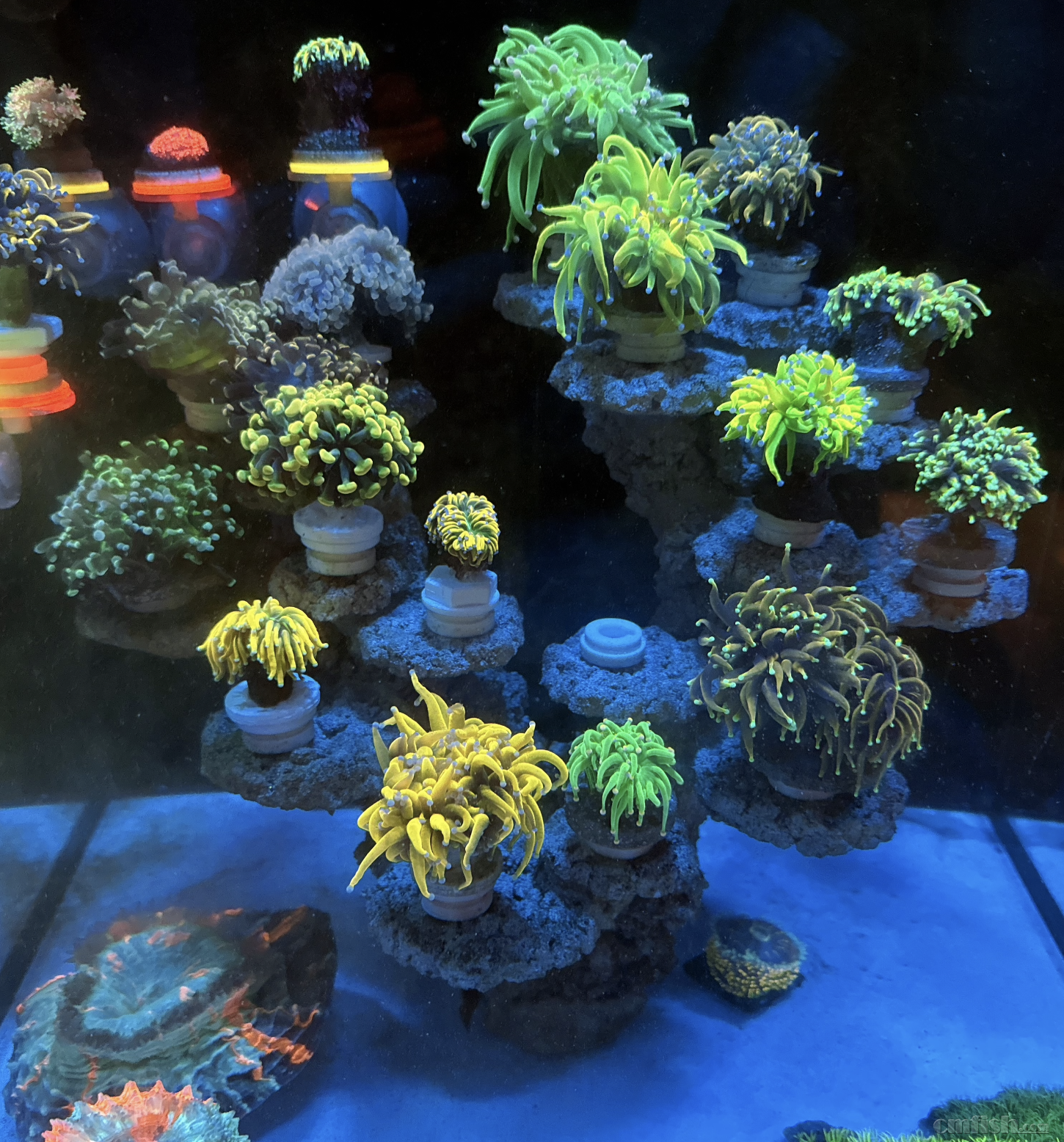 ����2024-08-21 15.21.17.png