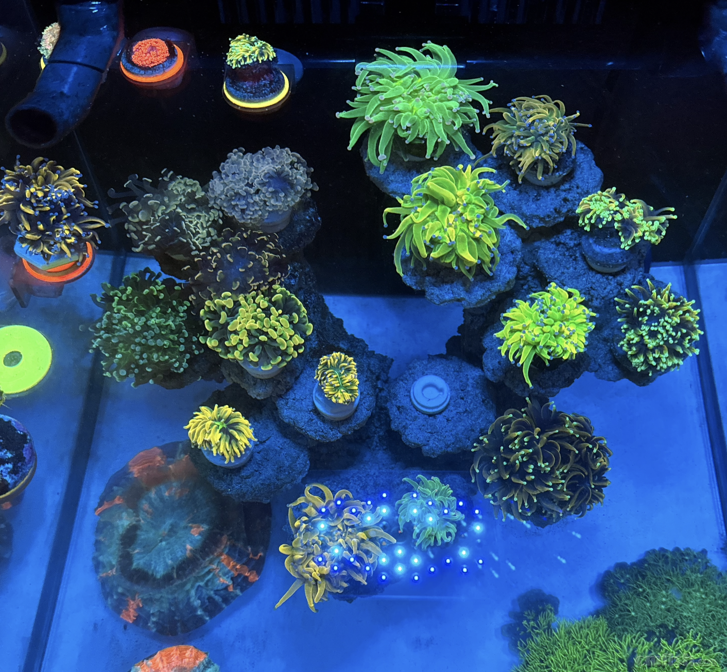 ����2024-08-21 15.21.24.png