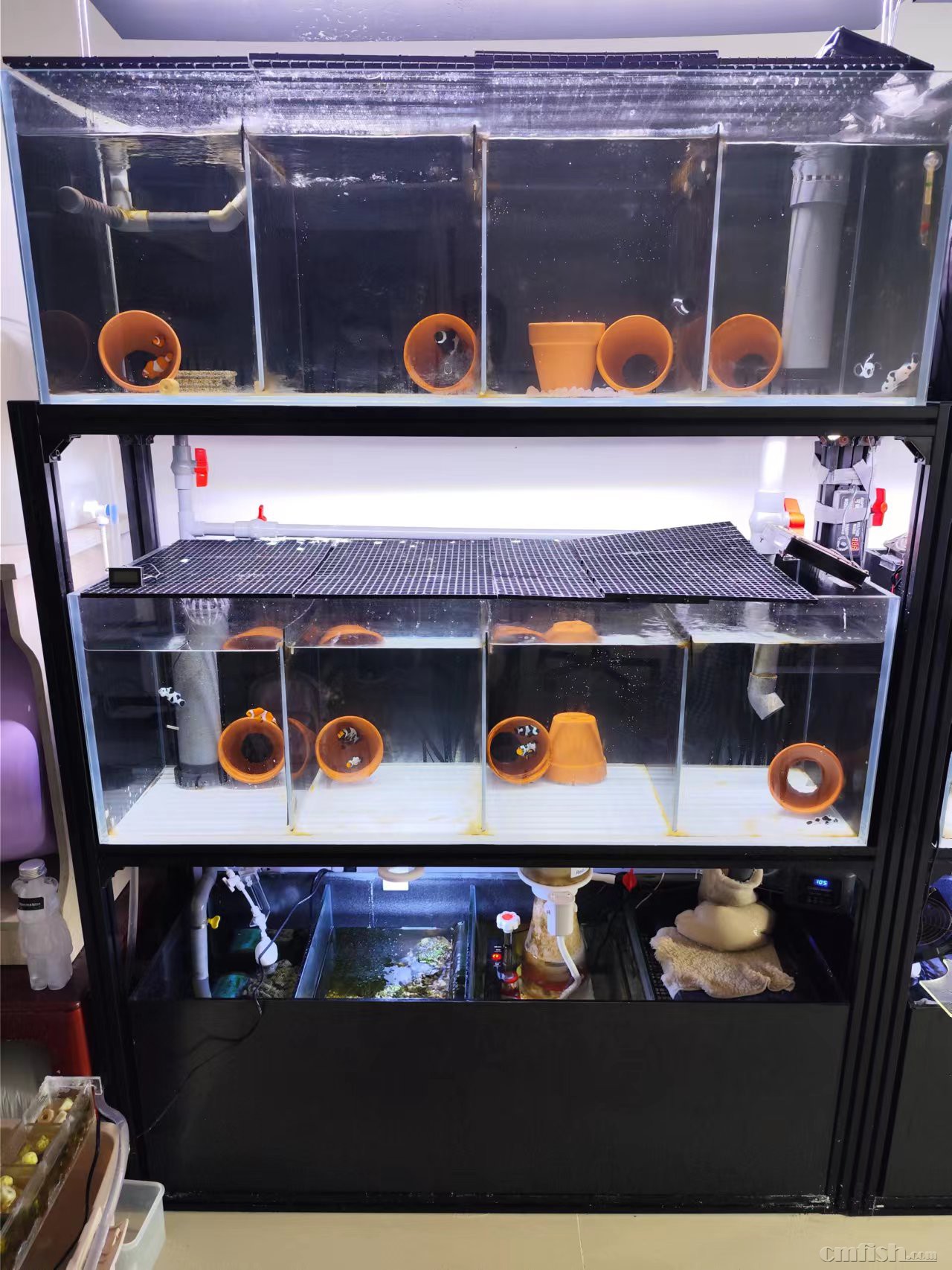 С���㷱ֳϵͳ��