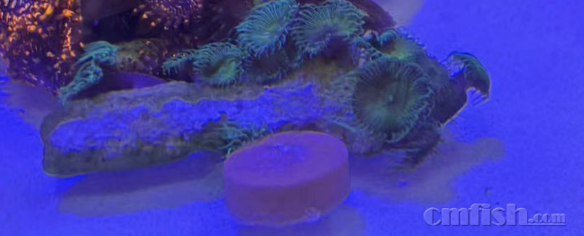 ����2024-09-26 ����3.04.19.png