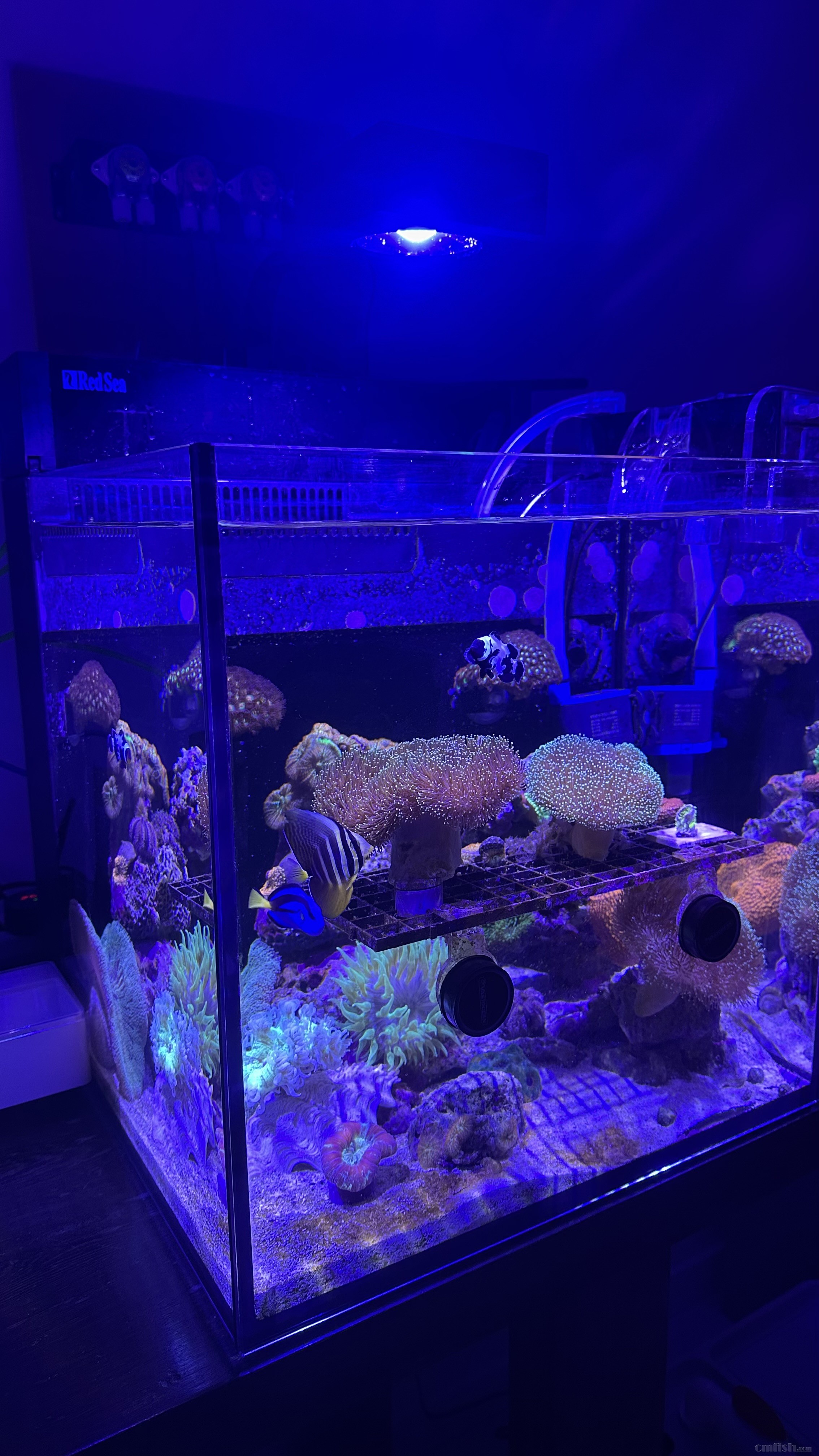 nanoһ���ף�45����