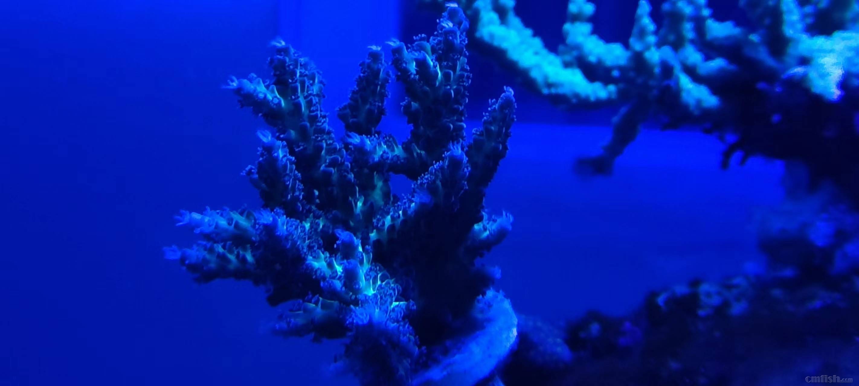 ��һ����ˮǰ����¥